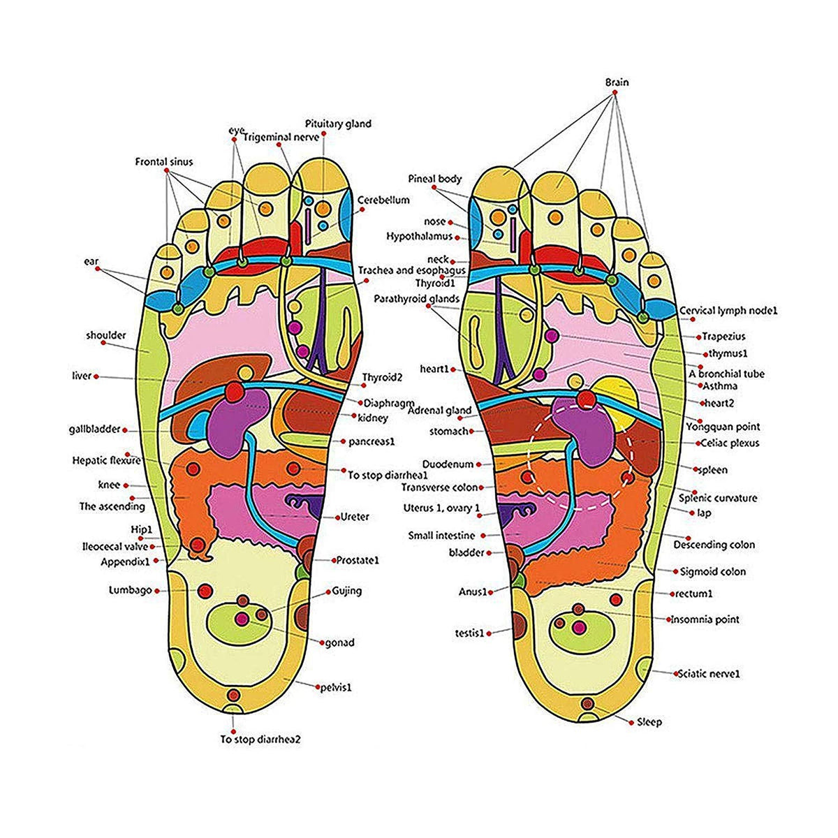 Acupressure Yoga Massage Slippers for Men & Women | Reflexology Foot Massage Sandals